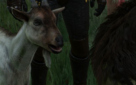 Witcher-princess