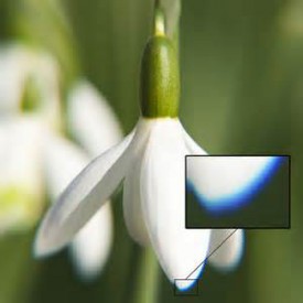 Kleurschifting