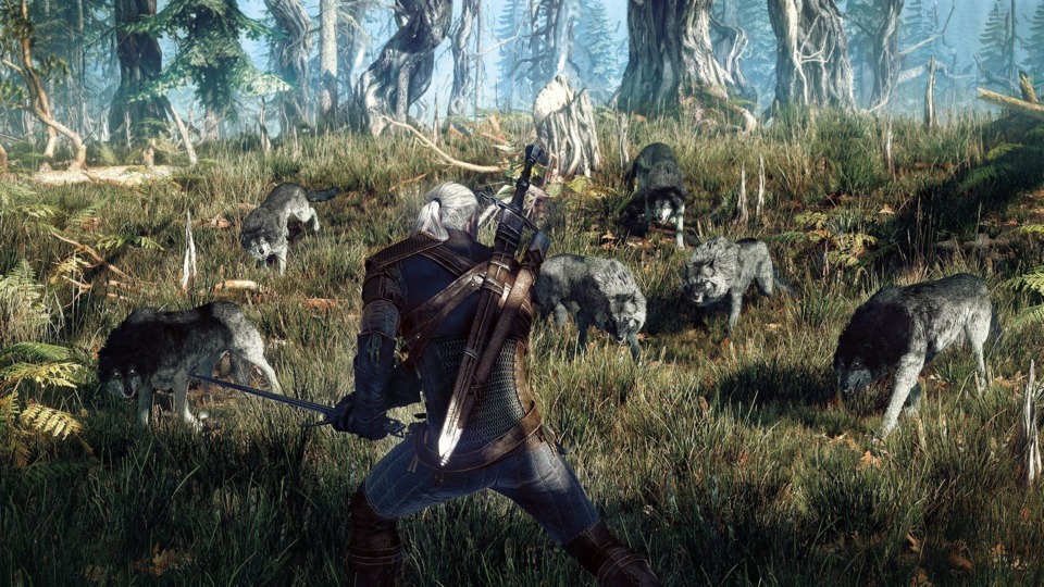 2504889-witcher3_2